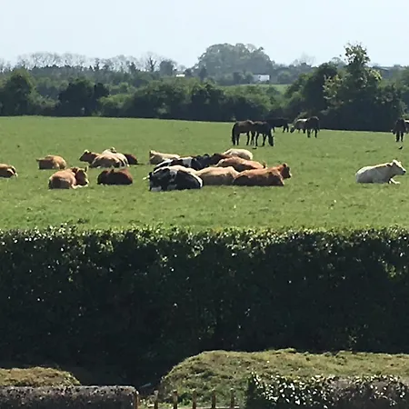 Stables - Duffys Of Ballybin Ashbourne