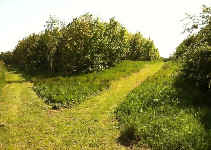 Stables - Duffys Of Ballybin アパート *