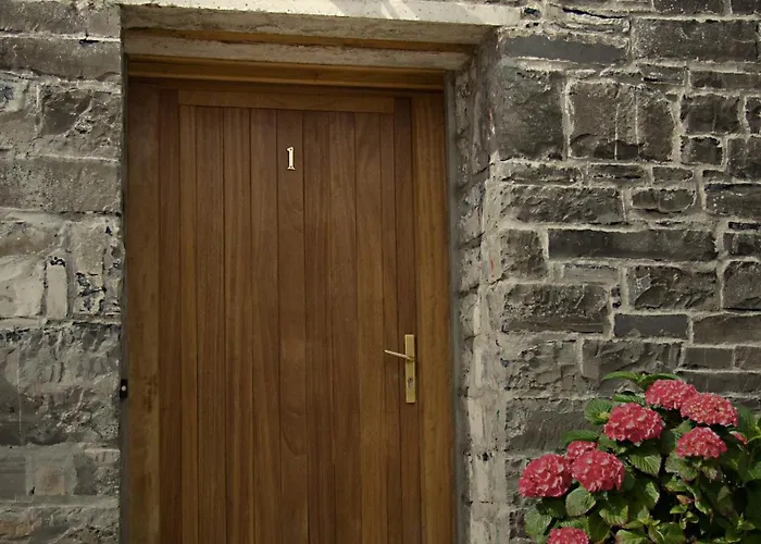 Stables - Duffys Of Ballybin * アッシュボーン